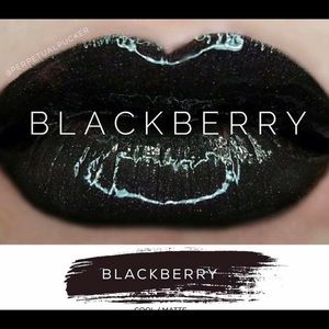 Lipsense Lipstick Authentic Full Size - Blackberry (Matte effect).